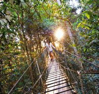 O'Reilly's Rainforest Retreat - Redcliffe Tourism