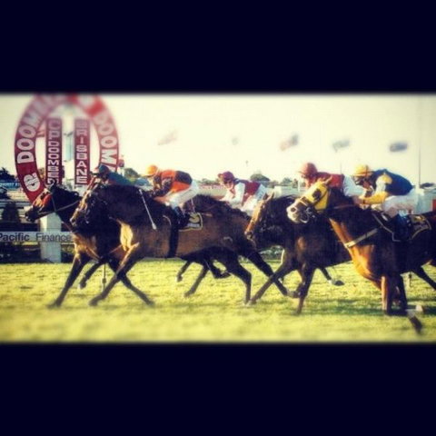 AAA The View - Redcliffe Tourism 3