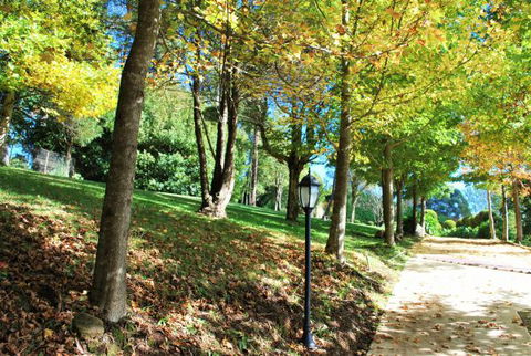 Huntington Cottage - Redcliffe Tourism 7