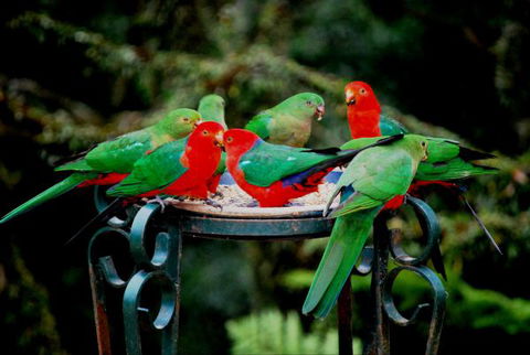 Huntington Cottage - Redcliffe Tourism 8