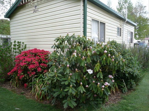 Jenolan Caravan Park - Redcliffe Tourism 1