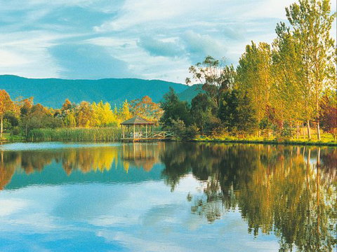 Kingbilli - Redcliffe Tourism 0