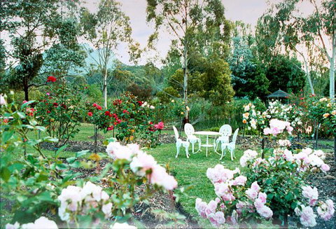 Kingbilli - Redcliffe Tourism 2