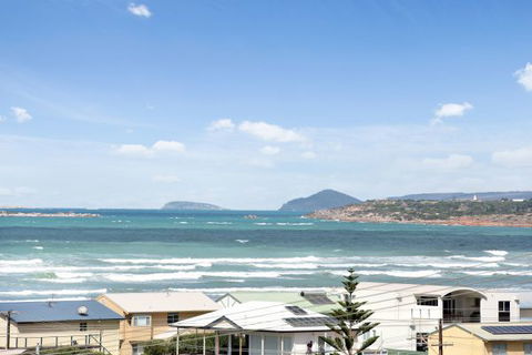 Ambergris - Redcliffe Tourism 9