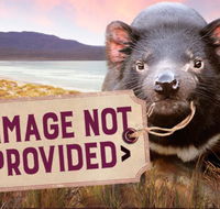 Thalia Haven - Redcliffe Tourism