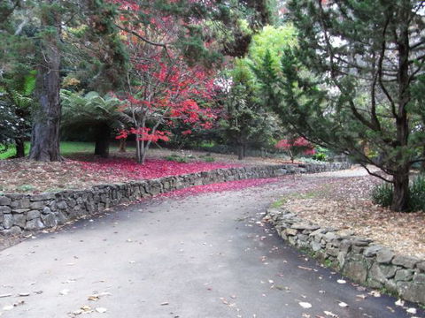 The Jungle Lodge, Blue Mountains Botanic Gardens - Redcliffe Tourism 5