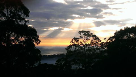 The Jungle Lodge, Blue Mountains Botanic Gardens - Redcliffe Tourism 8