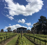 Mortimer's Accommodation amongst the Vines - Redcliffe Tourism