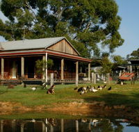 Tobruk Sydney Farm Stay - Redcliffe Tourism