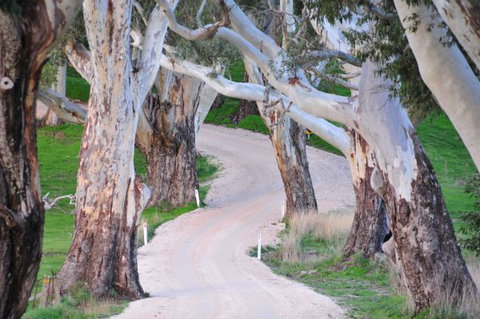 Barrenjoey Hideaway - Redcliffe Tourism 2