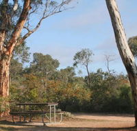 Drummonds Camp at Avon Valley National Park - Redcliffe Tourism