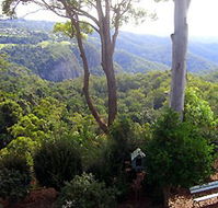 Mt Tamborine Motel - Redcliffe Tourism