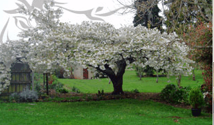 Glencoe Country Bed And Breakfast - Redcliffe Tourism 3