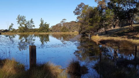 Blueberry Hills On Comleroy - Redcliffe Tourism 8