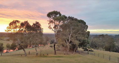 Blueberry Hills On Comleroy - Redcliffe Tourism 9