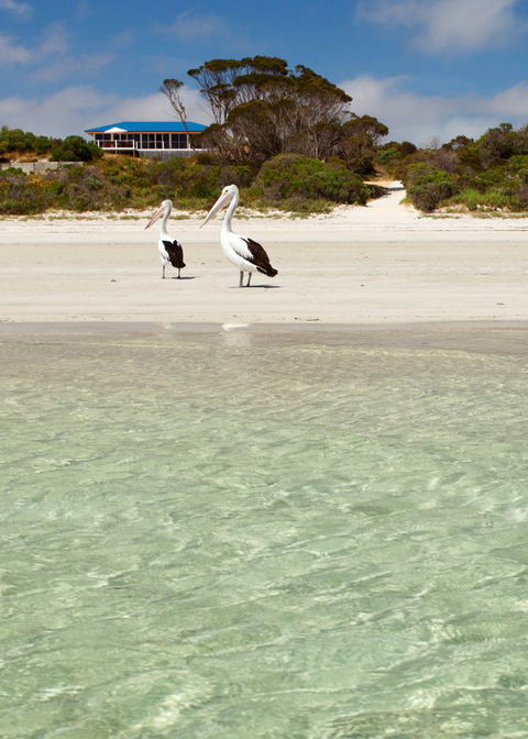 Kangaroo Island Star Beach House - Redcliffe Tourism 4