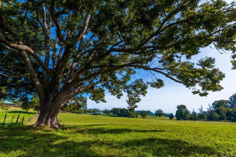 All About Me Bed And Breakfast - Redcliffe Tourism 8