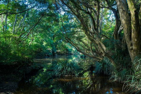 All About Me Bed And Breakfast - Redcliffe Tourism 9