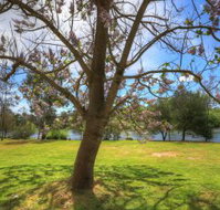 Breakaway Twin Rivers Caravan Park - Redcliffe Tourism