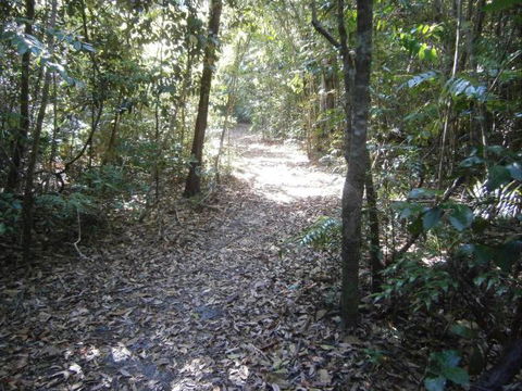 Byfield Cabins On Waterpark Creek - Redcliffe Tourism 5