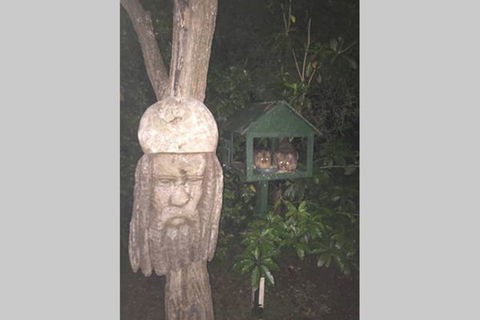 Kookaburra Retreat - Redcliffe Tourism 9