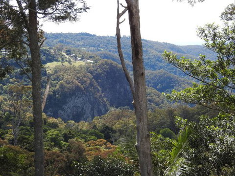 Mt Tamborine Motel - Redcliffe Tourism 0