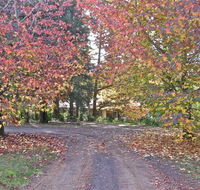 Rustic Spirit - Redcliffe Tourism