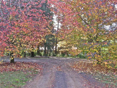 Rustic Spirit - Redcliffe Tourism 0
