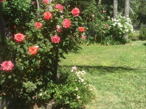 Tallarook Hotel - Redcliffe Tourism 1