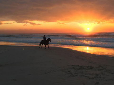 Tassiriki Holiday Cabins - Redcliffe Tourism 0