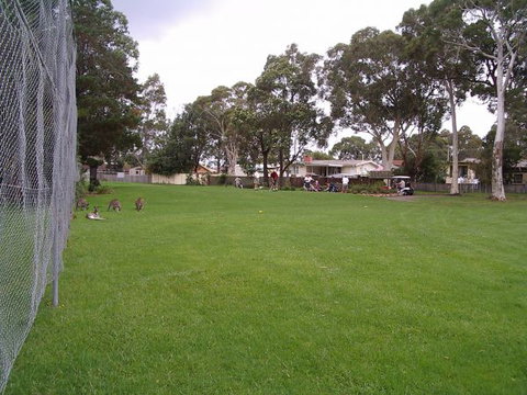 Waratah Cottage - Redcliffe Tourism 8