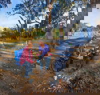 Benarca campground - Redcliffe Tourism