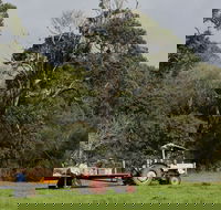 Boronia Farm - Redcliffe Tourism