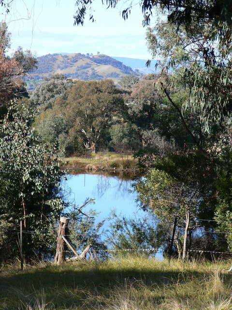 Gaddleen Grove Cottages - Redcliffe Tourism 6