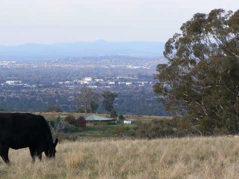 Gaddleen Grove Cottages - Redcliffe Tourism 8