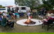 Mundubbera Three Rivers Tourist Park - thumb 2