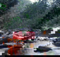 nightfall  camp - Redcliffe Tourism