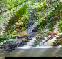 O'Reilly's Rainforest Retreat - Redcliffe Tourism