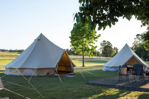 Percy's Place Caravan Park - Redcliffe Tourism 1