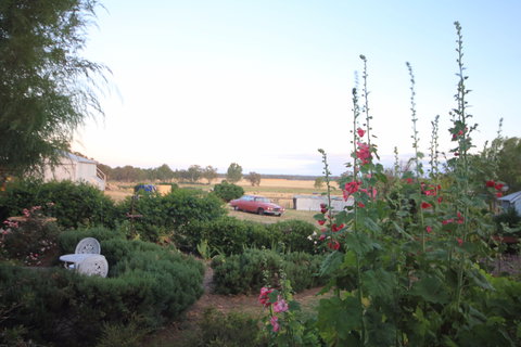 Rostrata Country House - Redcliffe Tourism 7