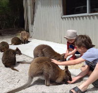The Patriarch Wildlife Sanctuary Camping Ground - Redcliffe Tourism