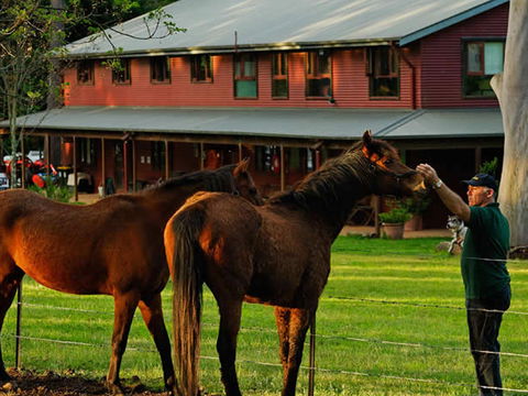 Bilpin Country Lodge - Redcliffe Tourism 3