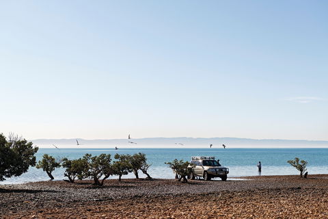 Camping At Point Lowly & Fitzgerald Bay - Redcliffe Tourism 0