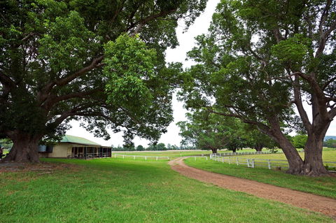 Copmanhurst Recreation Reserve - Redcliffe Tourism 0