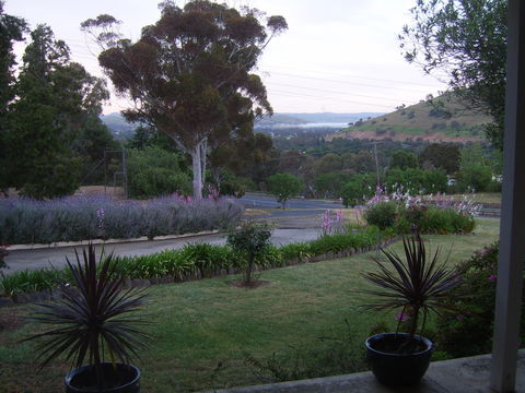 Garden Motor Inn (Golden Chain) - Redcliffe Tourism 3