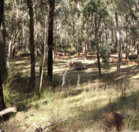 Greenbah campground - Redcliffe Tourism