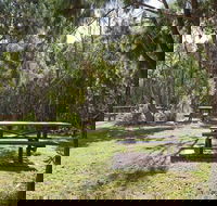 Illaroo group camping area - Redcliffe Tourism