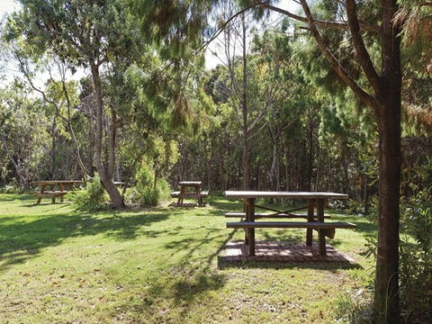 Illaroo Group Camping Area - Redcliffe Tourism 0