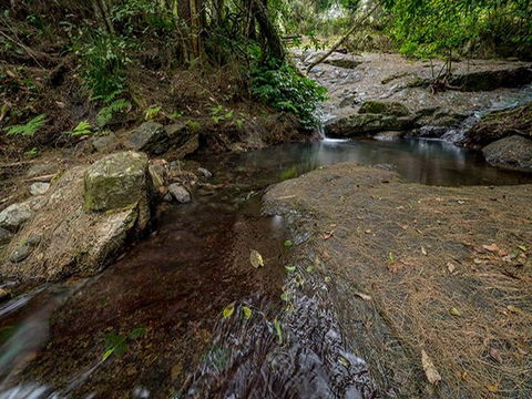 Jacky Barkers Campground - Redcliffe Tourism 1