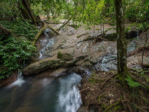 Jacky Barkers Campground - Redcliffe Tourism 3